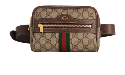 Ophidia Belt Bag, front view
